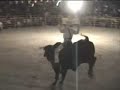 Jaripeo 2008 Plaza Z San Pablo Guila. Jaripeo 2008 Plaza Z San Pablo Guila.