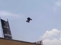 bob burnquist bob burnquist