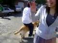 videos de mi cumple (L)