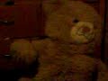 eL Oso pArTe 2