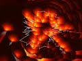 Morpheus FreeBeat 4X8 Track BreaksMashed NonStop