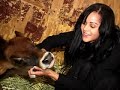 rescued farm animals find paradise at animal acres.