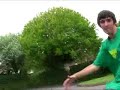 Stoop-ed Summer Montage