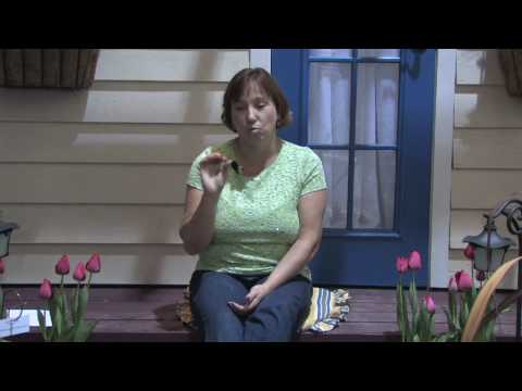 how to care for echinacea