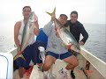 Yellowtail fishing in San Carlos Nuevo Guaymas Mx
