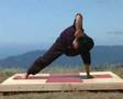 videos de Universal Yoga Demo with Andrey Lappa