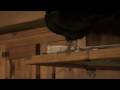 videos de Donkey the chicken