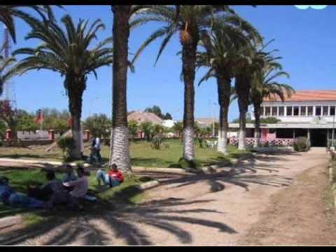 bir jdid saint hubert chavent