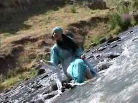 Gul Bejn Gule Bejne