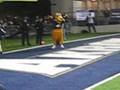 videos de ZIppy Touchdown