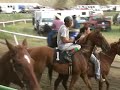 Dreamoneir - 2007 Ferry County Fair 1mile Derby Winner