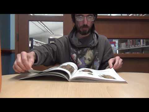 video-linktoworks-How to draw book review Draw Furries