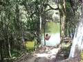 Galera descendo a tiroleza em Ibiuna