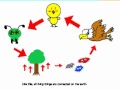 Food Chain