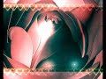 قلبى سالنى عليك