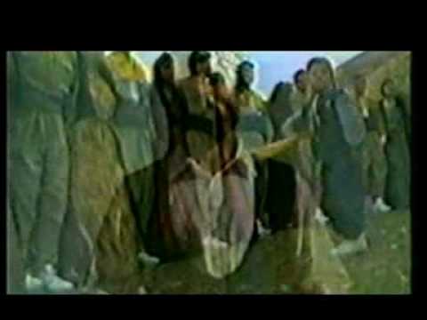 See video See video