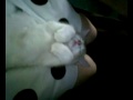 Fudge...Kulls & Noo