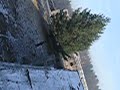 Taktyczna drabina ASG