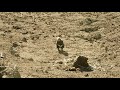 Ben Howard - Nica Libres At Dusk tekst piosenki