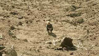 Ben Howard - Nica Libres At Dusk tekst piosenki