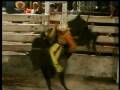 videos de 1° Mega Leilão de Touros de Rodeio