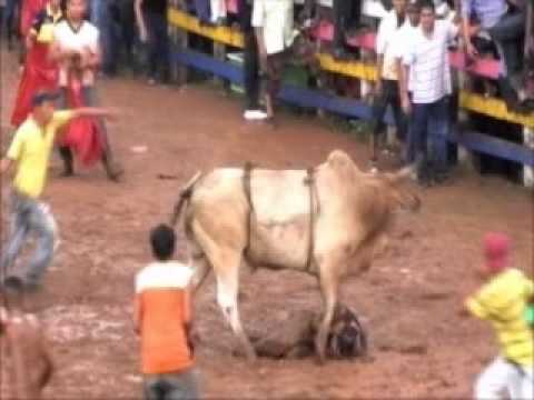 Resume de las fiestas de Juigalpa 2012