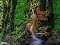 Les f�e