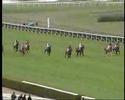 Championnat des Grandes Ecoles 2008