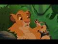 roi lion 