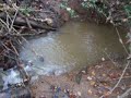 Beaverdam breached.