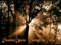 Dowster/Upsize - Through the Trees