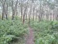 Southern FR-Sulong @ Beringin Singletrack 02