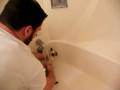 videos de Kitty Bath Adventure: Part 3