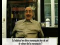 entrevista amb armand de fluvià sobre la monarquia espanyola