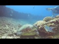 Koko Crators in Hawaii with Oahu Diving