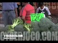 TIANGUIS JOCOTEPEC