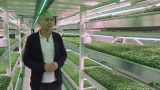 Global Best Practices in Mine Closure and Repurposing