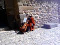 Arpa andina en Ollantaytambo