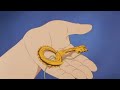 little nemo part 4
