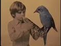 moving pictures accompany song