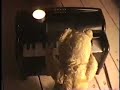 moving pictures accompany song