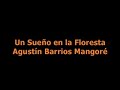 Un Sueño en la Floresta, Barrios Mangoré (Jorge Luis Zamora)