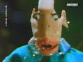 One o One - Rock to the Beat