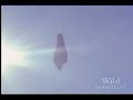 website: www.teachertube.com can skydivers fall faster than falcons?