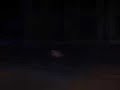 Geblitzt in 30er zone