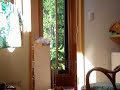 おいらのピアノですv(*'-^*)ｂぶいっ♪