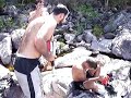 cachoro do mato na chapada