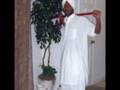punjabi flavor part 20 ( assi haan 5abi)