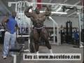 jay-cutler-and-ronni