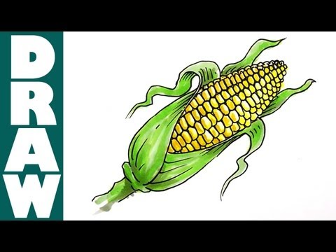 how to draw corn